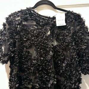 Black Ruffled Sheer Top